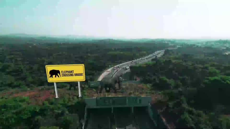 YC Rain Tree — Real estate film by Realtec Virtual, Bengaluru